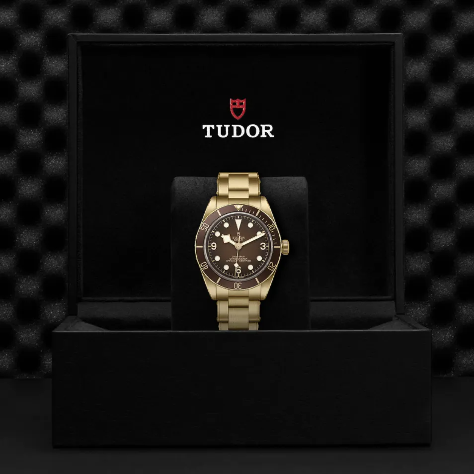 TUDOR “Boutique Edition” Black Bay Fifty-Eight Bronze M79012M-0001 Watch