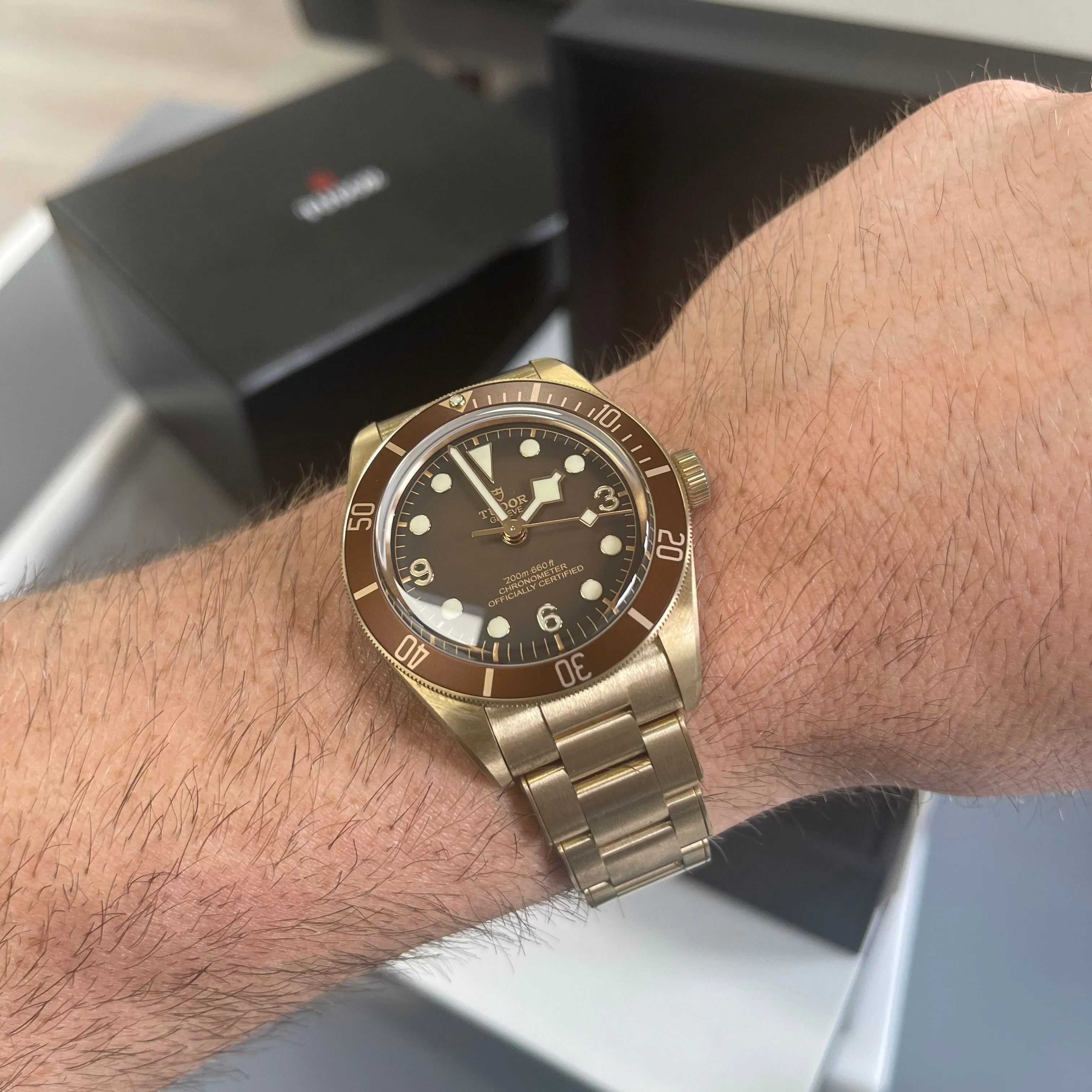 TUDOR “Boutique Edition” Black Bay Fifty-Eight Bronze M79012M-0001 Watch