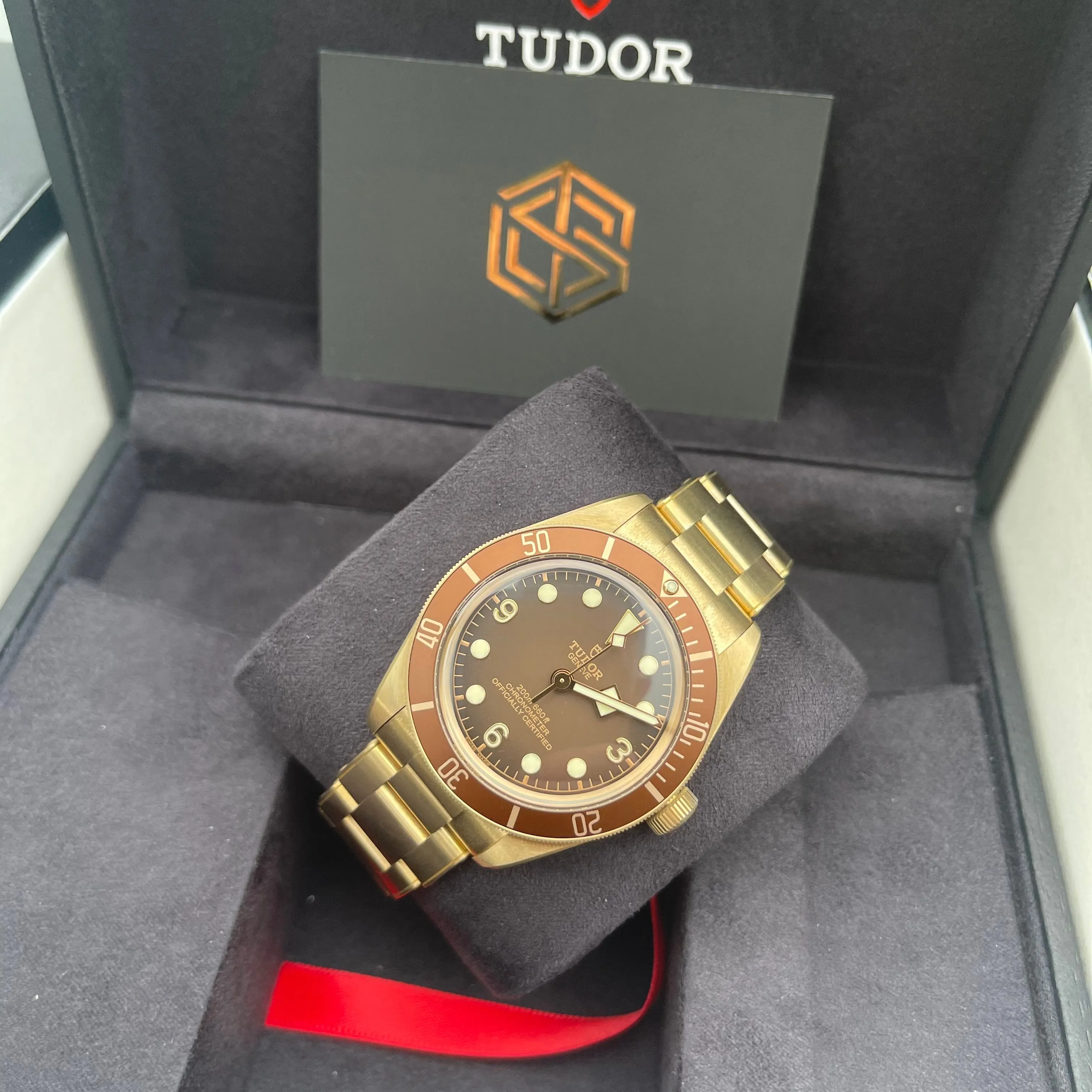 TUDOR “Boutique Edition” Black Bay Fifty-Eight Bronze M79012M-0001 Watch